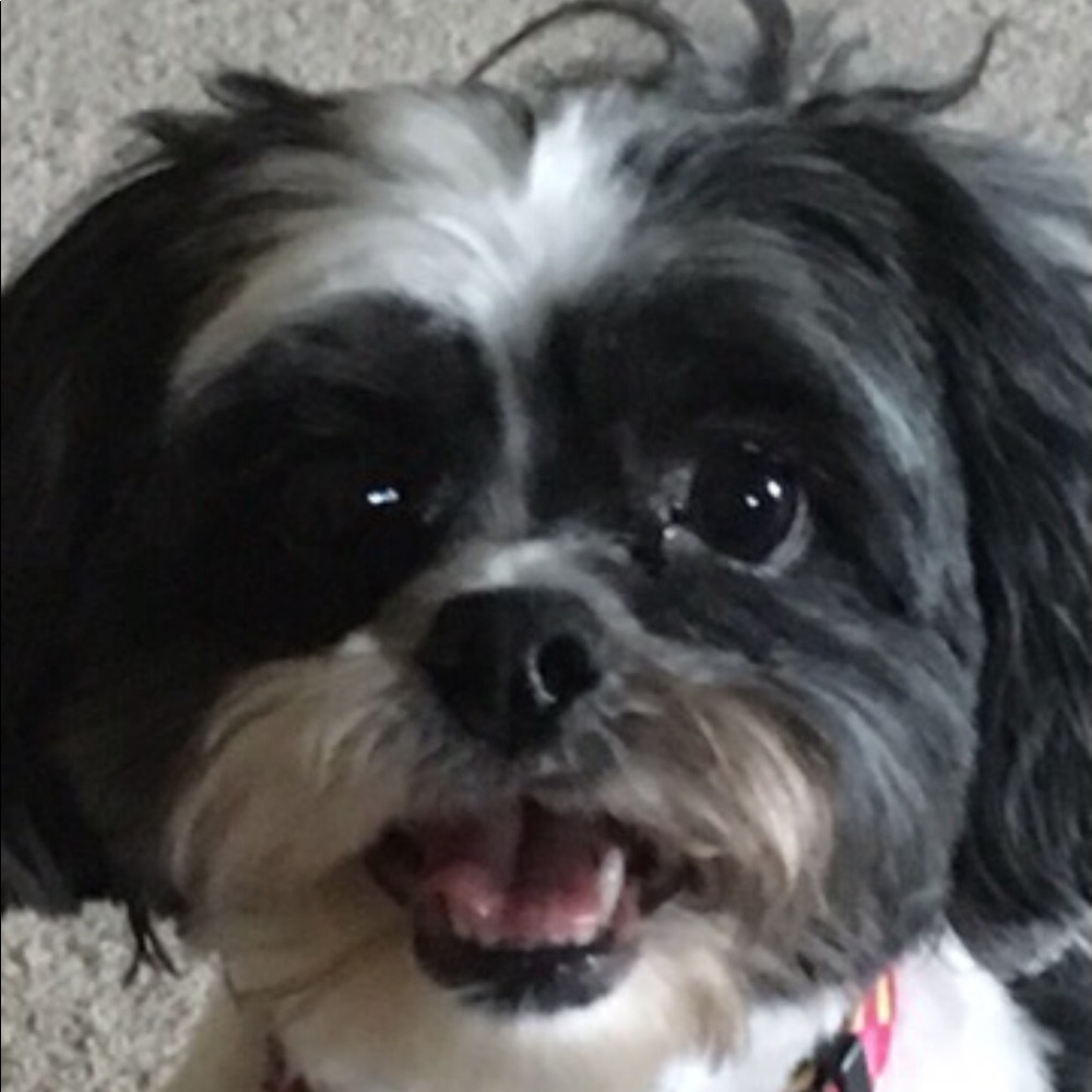 Meet your Posher, Bettie